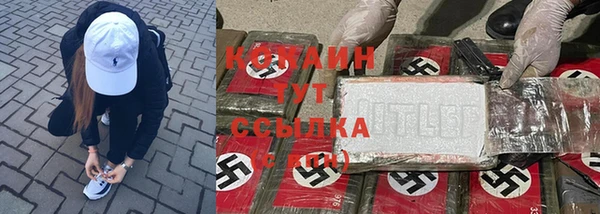 спиды Арсеньев