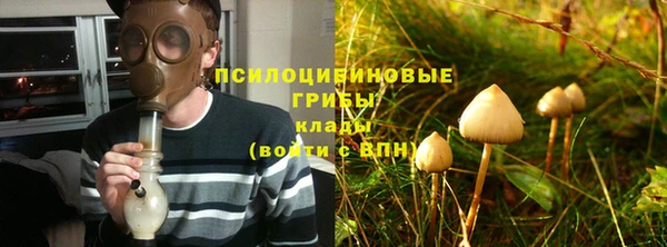 спиды Арсеньев