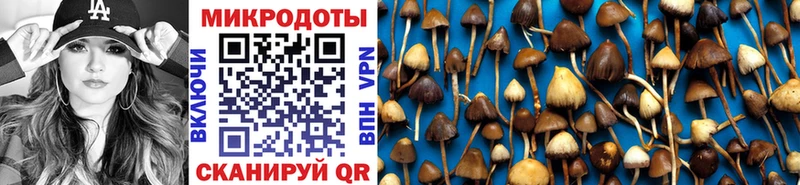Галлюциногенные грибы MAGIC MUSHROOMS  Купить закладки  Жигулёвск 